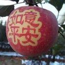 (燕子)业善开心麻花鼓🥁舞团