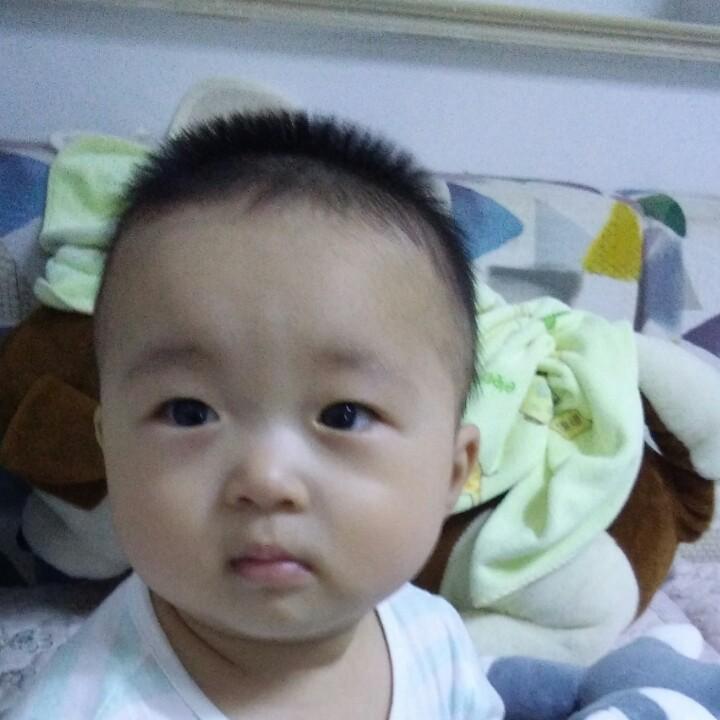 豪豪