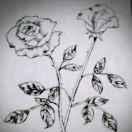 只是当时已惘然