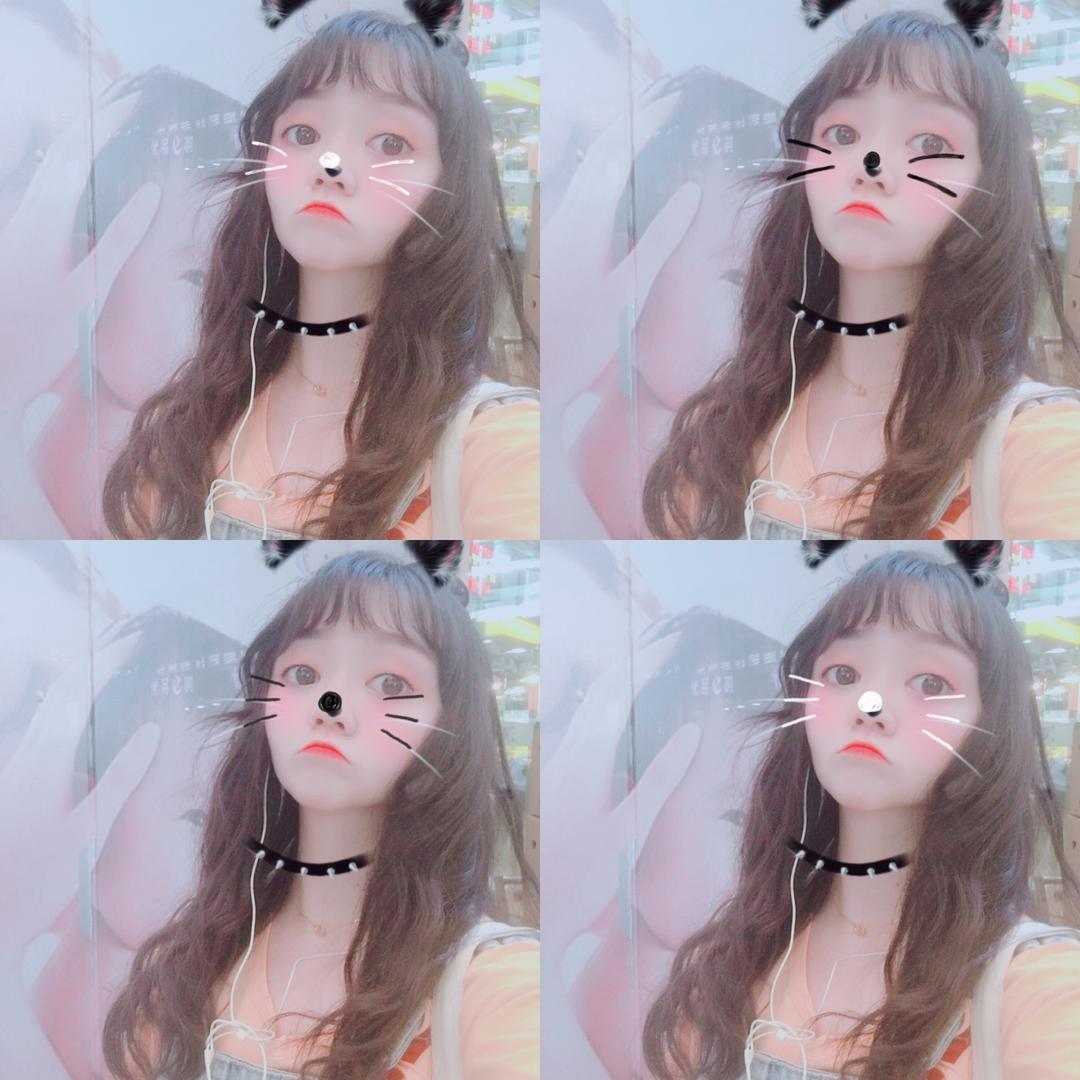 大脸猫呀🐱