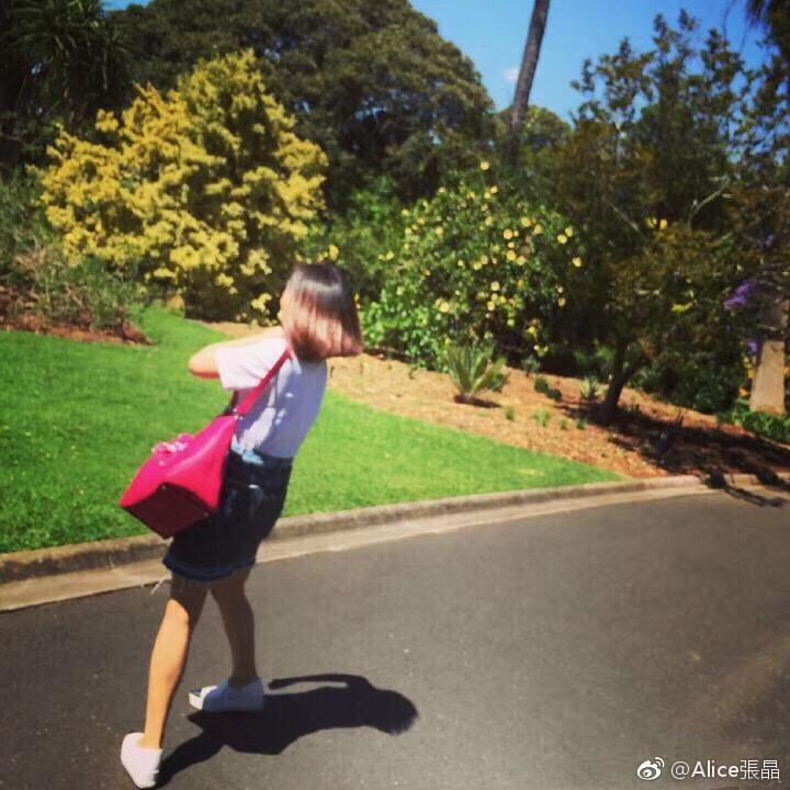 🌸  炸鸡窝