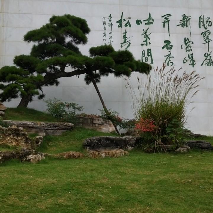 90度的♨️水🌊燙手💧