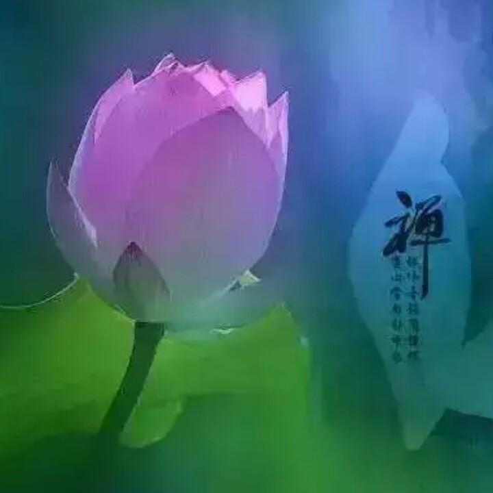 水之媚253