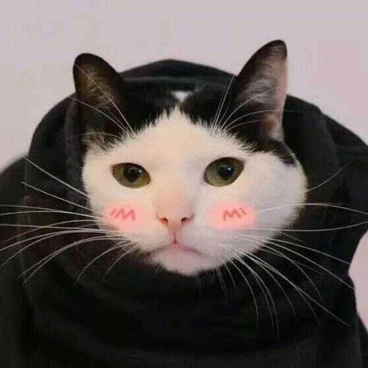 0323