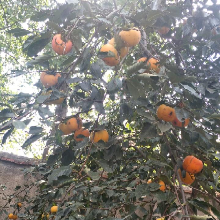 你敬我一尺，我敬你一丈，