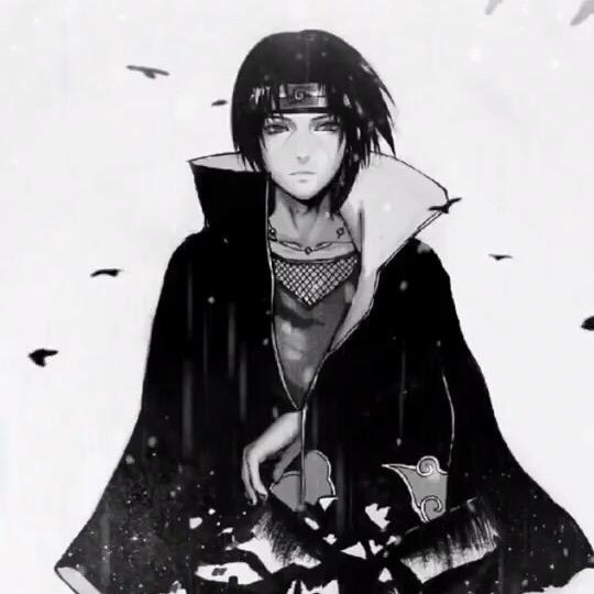 网络错误！无法显示.