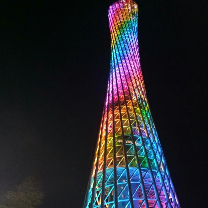 向阳🍃