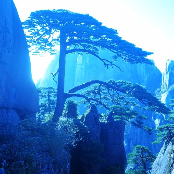 北海之暗