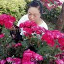 梅子🌺萨克斯围鼓乐队