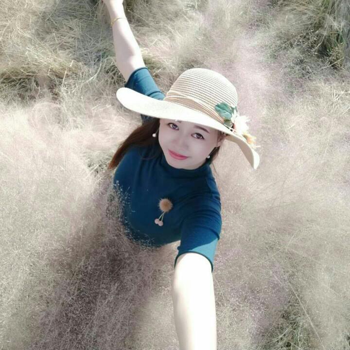 张凤