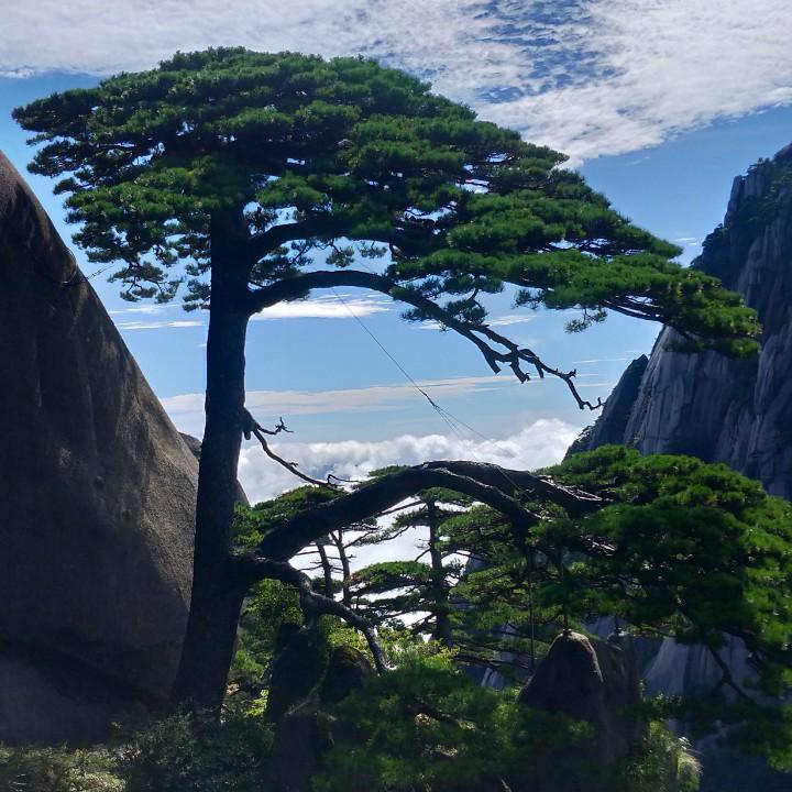美丽之约精选小铺