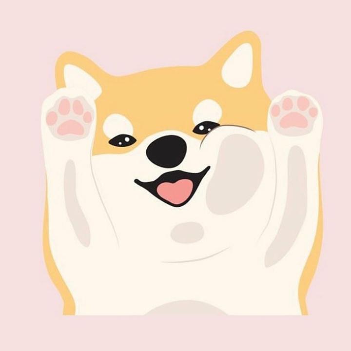 多多