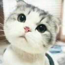 小林子汽车服务中心