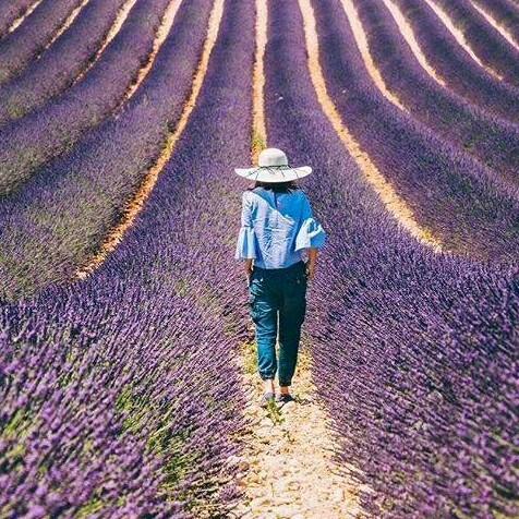 梦幻