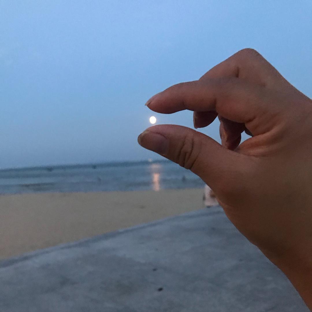 宝岛酒水馆