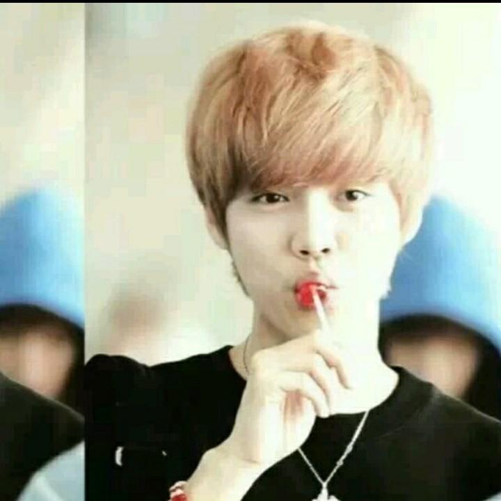 哥的世界你不在