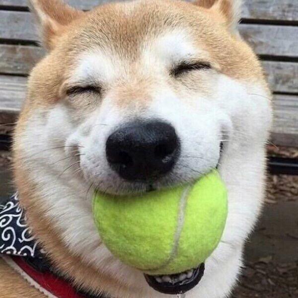 Dōng