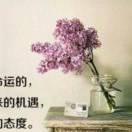 红叶