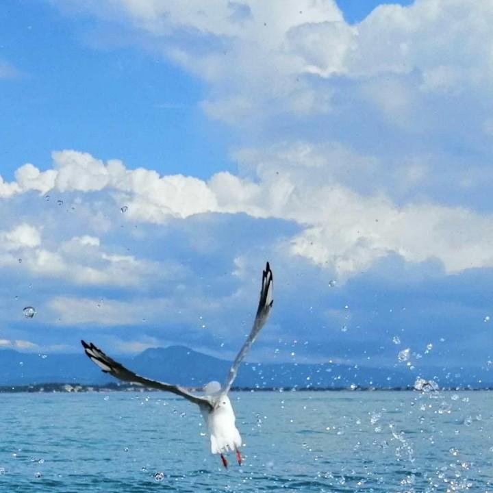 望山观水