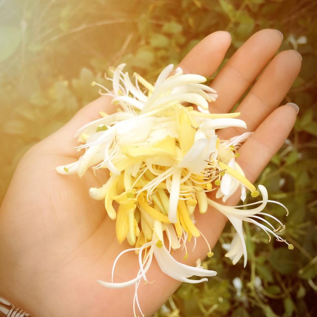 丽丽（勿连赞）