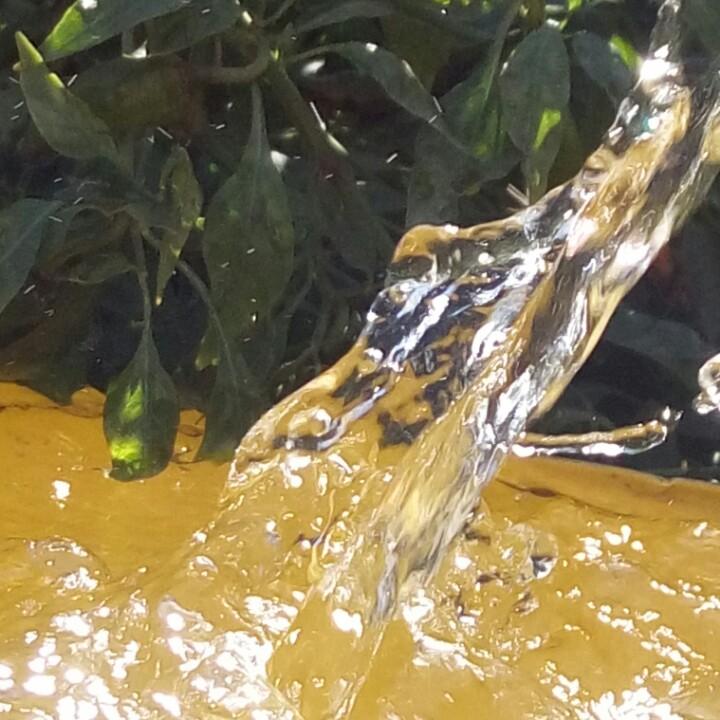 渐行渐远🌹