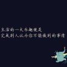 东北Z总