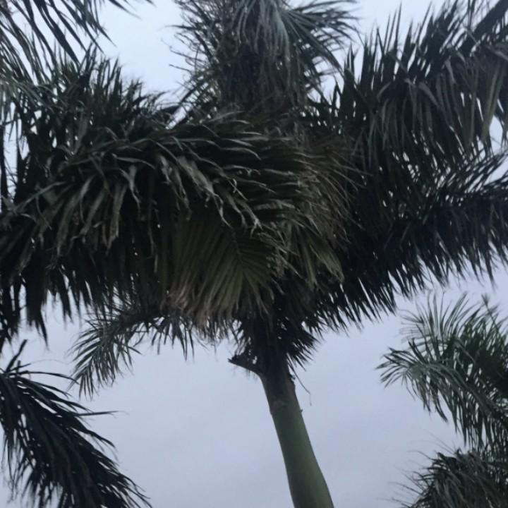 坚定不一