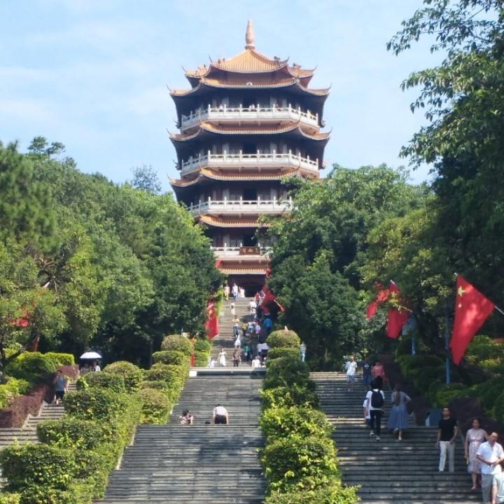 我心飞扬ZwJ