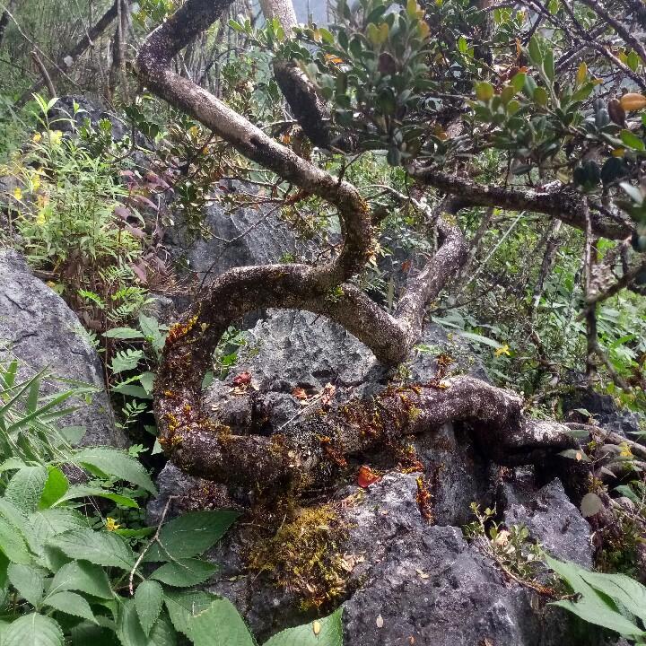 🈚️🈚️🈚️🈚️