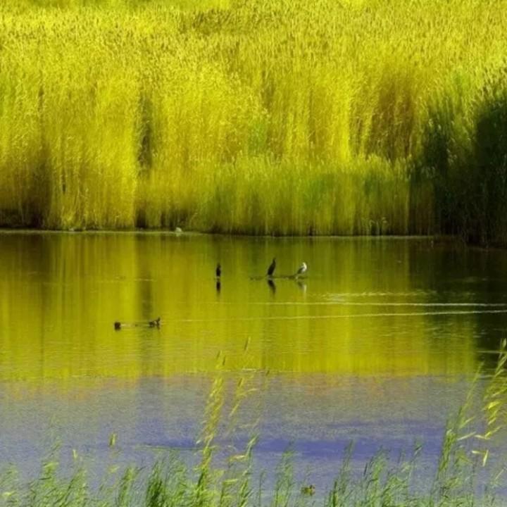 大漠深处看风景（手机摄影）