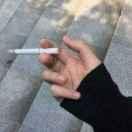 好多鱼好多余