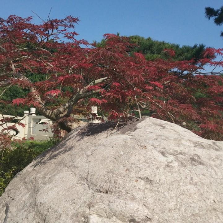 泗县南京每天往返