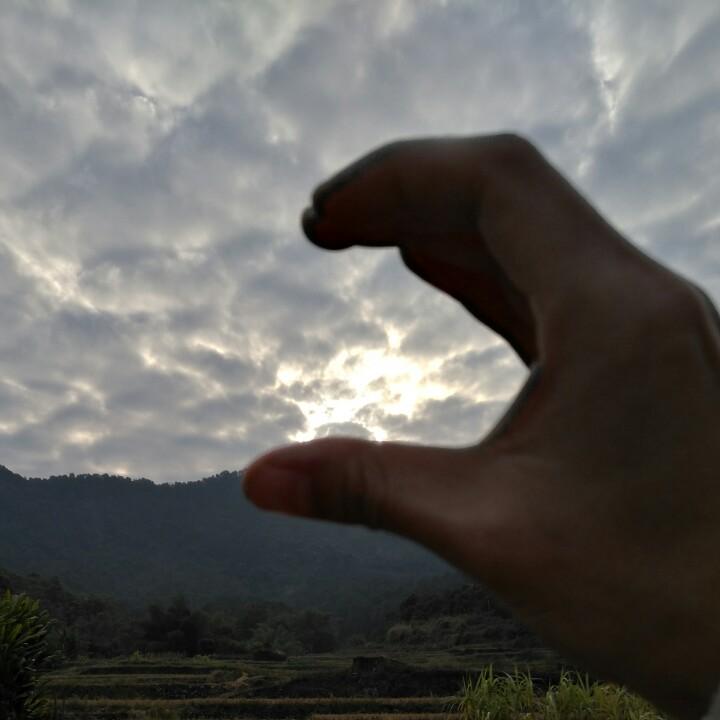 鲈鱼没有鱼🐠