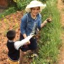 赤水·水云间.莉莉