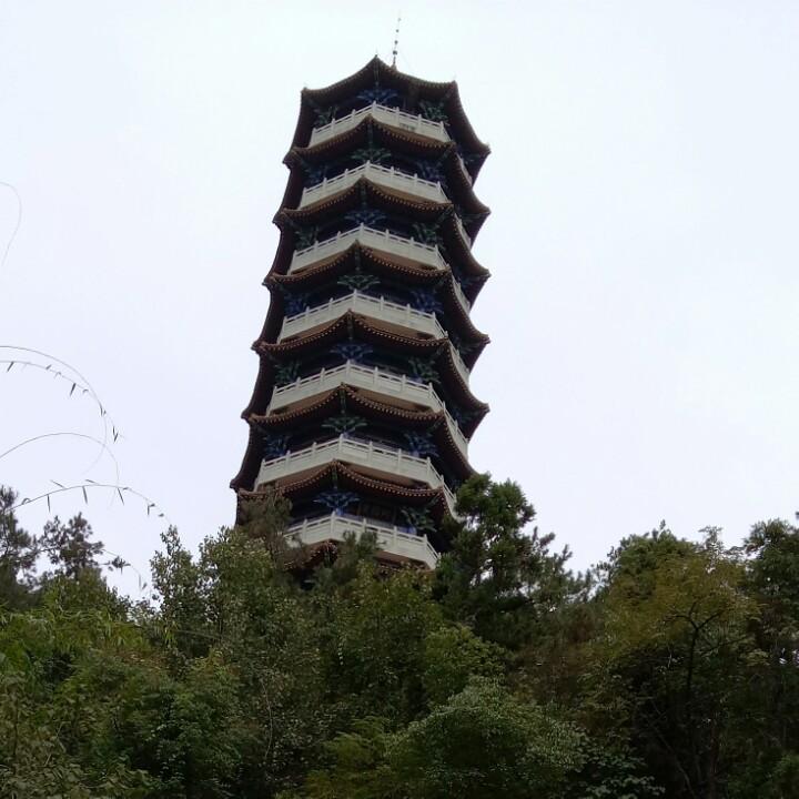 芳草