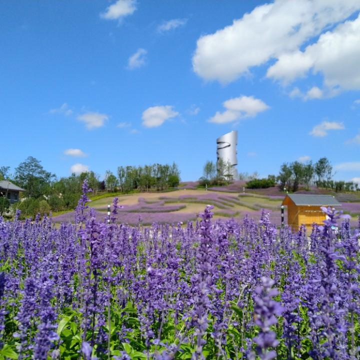 骑着蜗牛去放猪
