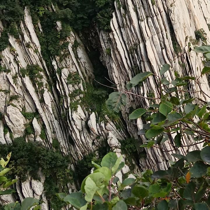 菲你不可