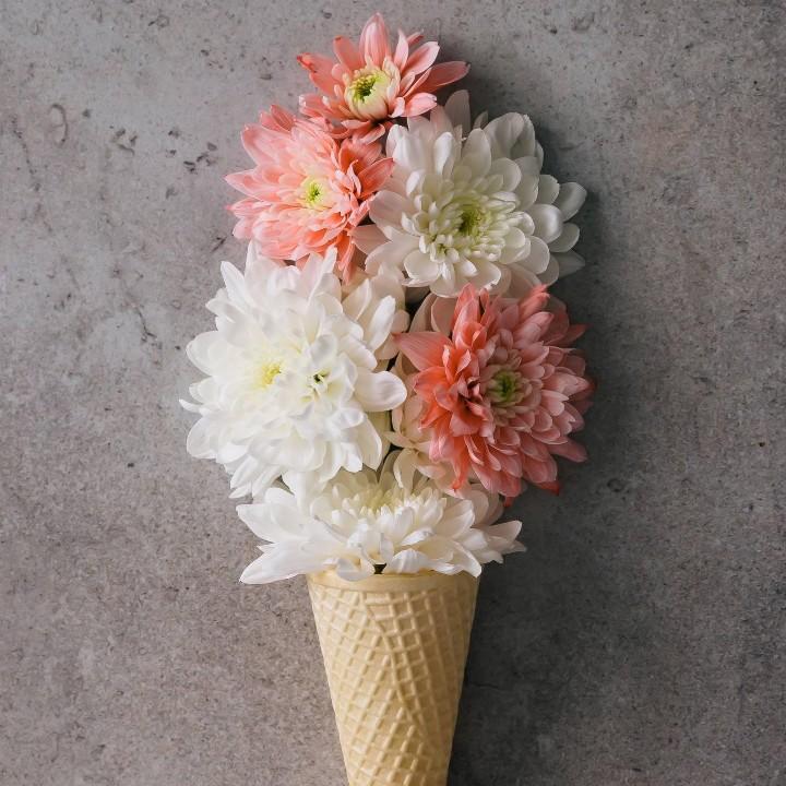 待无尽夏