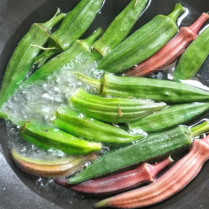 春波肉食