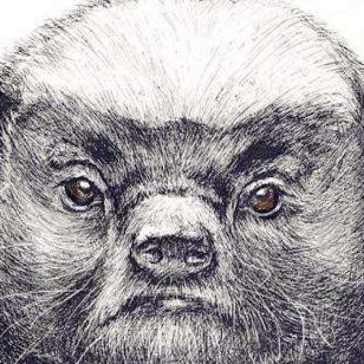 一二鲜烫牛肉米线官方号