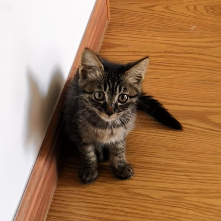 范
