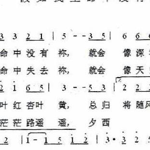 夜空中最亮的星🍇️🍇️🍇️