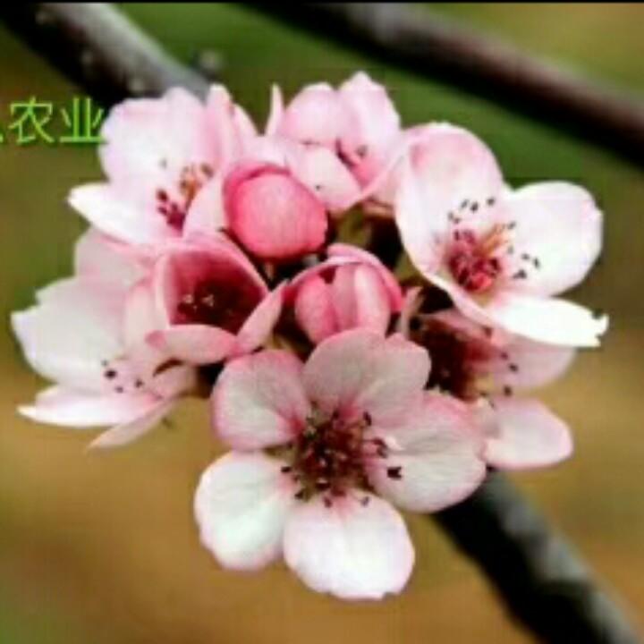 茂盛农资  生活喜唰唰