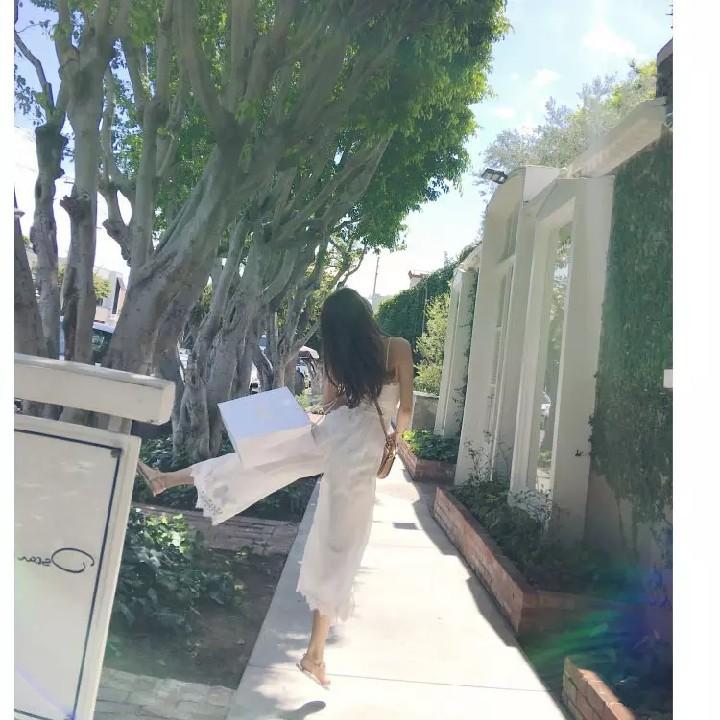 阳光的向日葵🌻