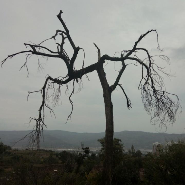 6022——起跑线🏃🏃🏃