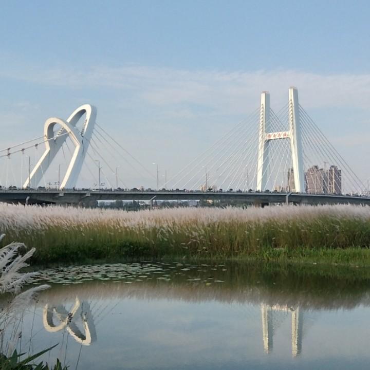 浅尝辄止