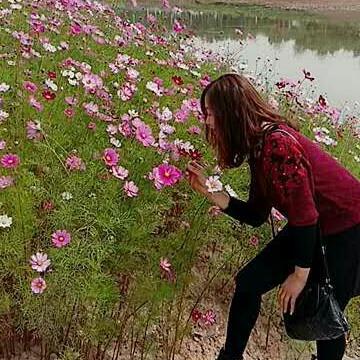聚散随缘
