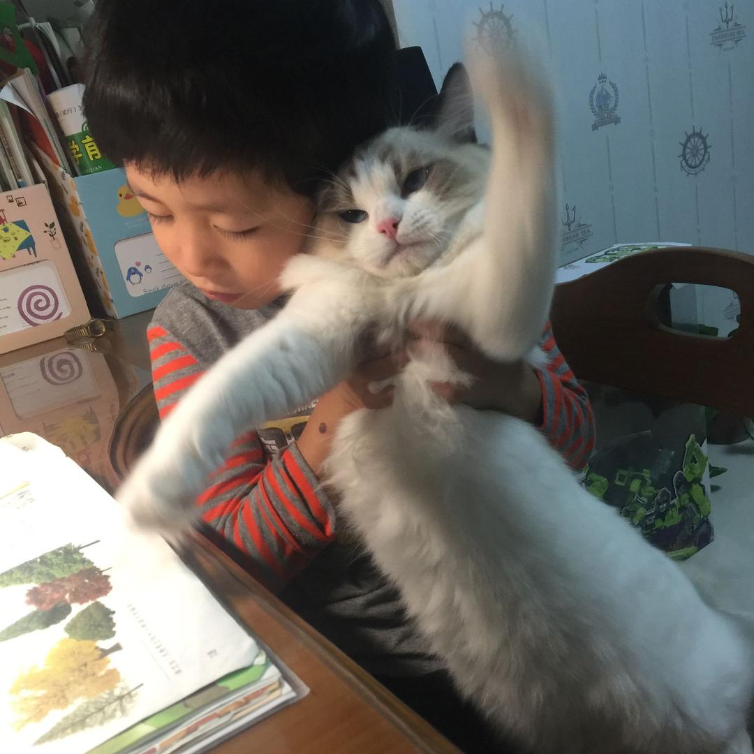 咪哆哆