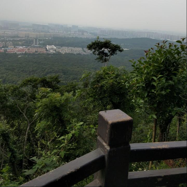 顺❤️自然