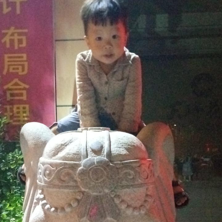 ￥随心所欲￥